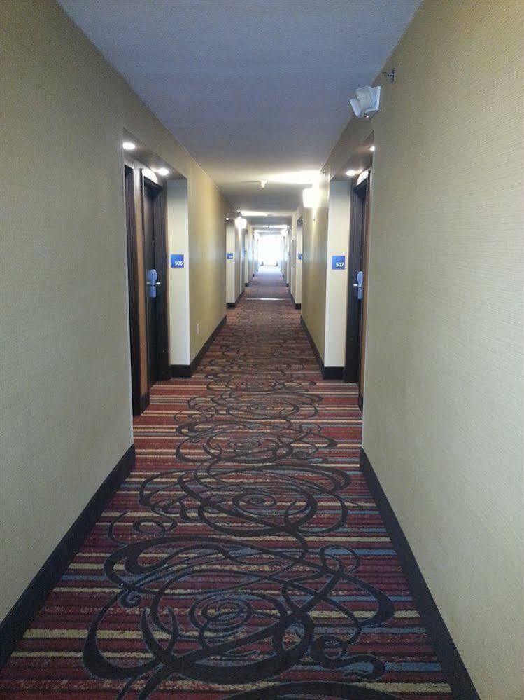 Holiday Inn Express Fredericksburg - Southpoint By Ihg Buitenkant foto